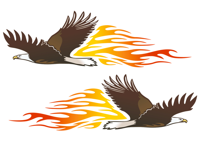 Chevy Flame Decal