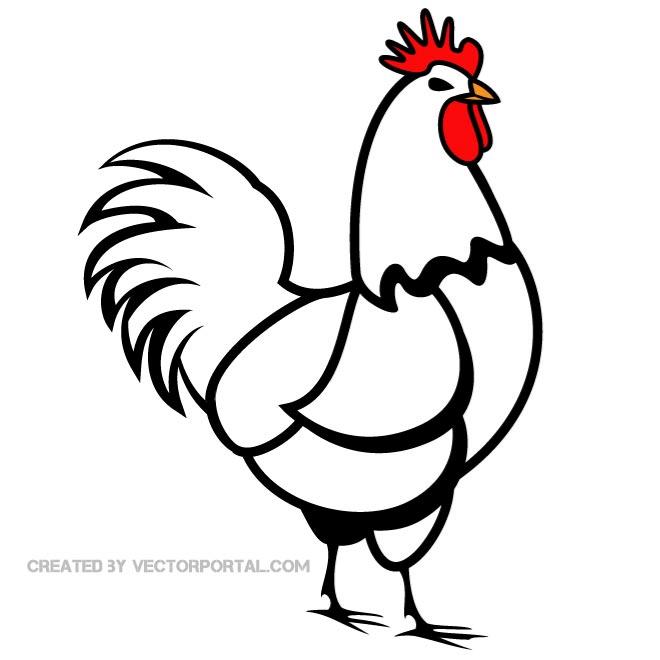 Rooster Vector Art | 123Freevectors