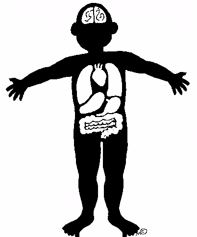 Human Body Clipart | Free Download Clip Art | Free Clip Art | on ...