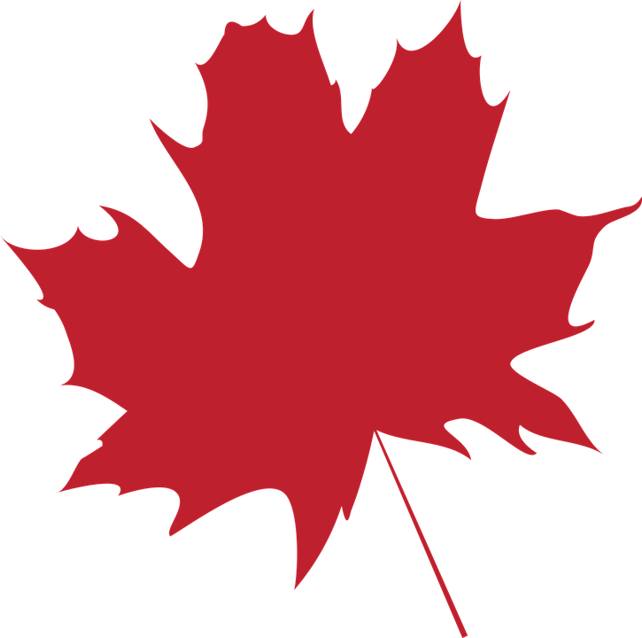 Free photo Maple Leaf Icon Leaf Dry Leaf Colors Autumn Leaf - Max ...