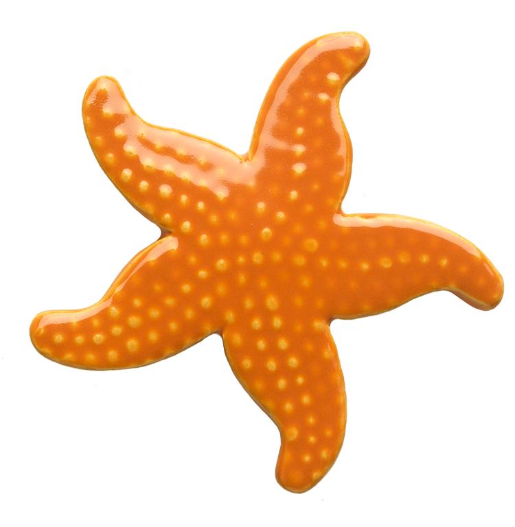 Starfish Clip Art - Tumundografico