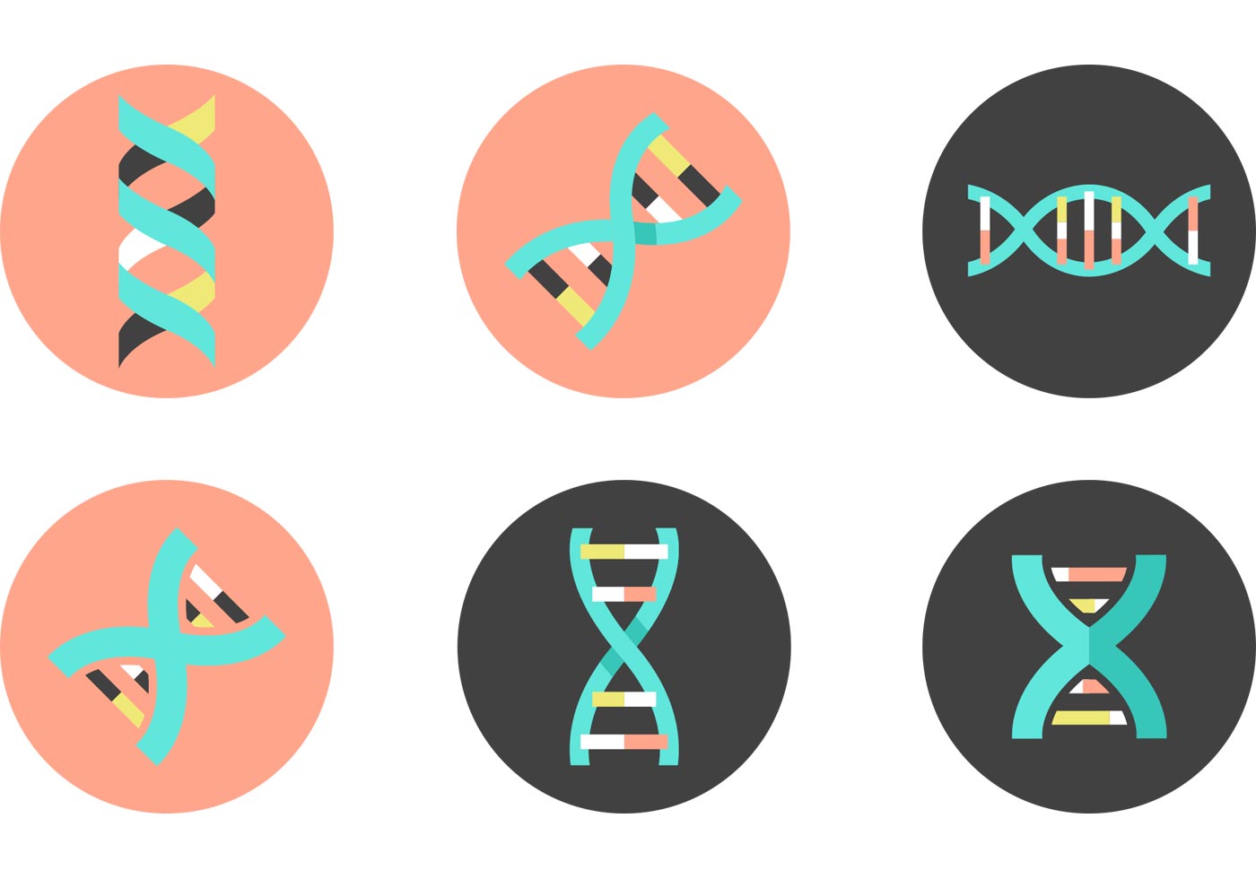 Double Helix Free Vector Art - (331 Free Downloads)