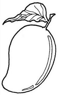 Mango clipart outline