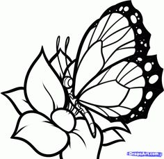 How to draw, Drawing flowers and Larger