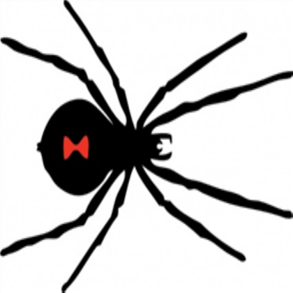 Black widow clipart exclusive