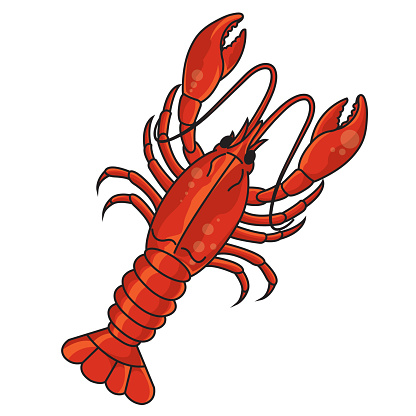 Crayfish Seafood Clip Art, Vector Images & Illustrations