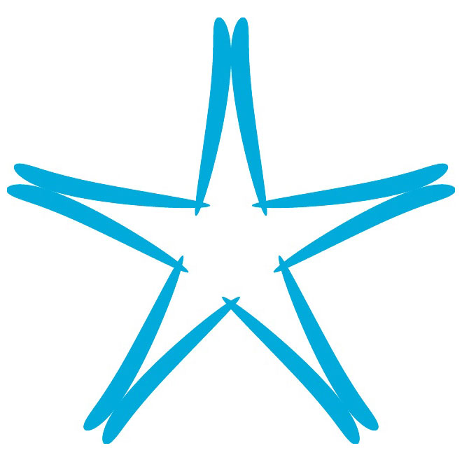 STAR GRAPHIC DESIGN VECTOR ELEMENT - Download at Vectorportal
