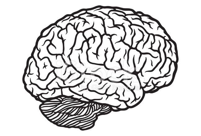 Brain Profile Outline stock photos - FreeImages.com