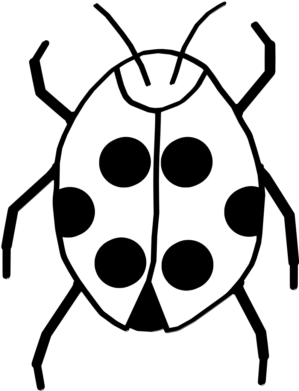 Ladybug Black And White Clipart