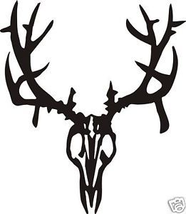 Deer Skull Drawing | Deer Skull ...