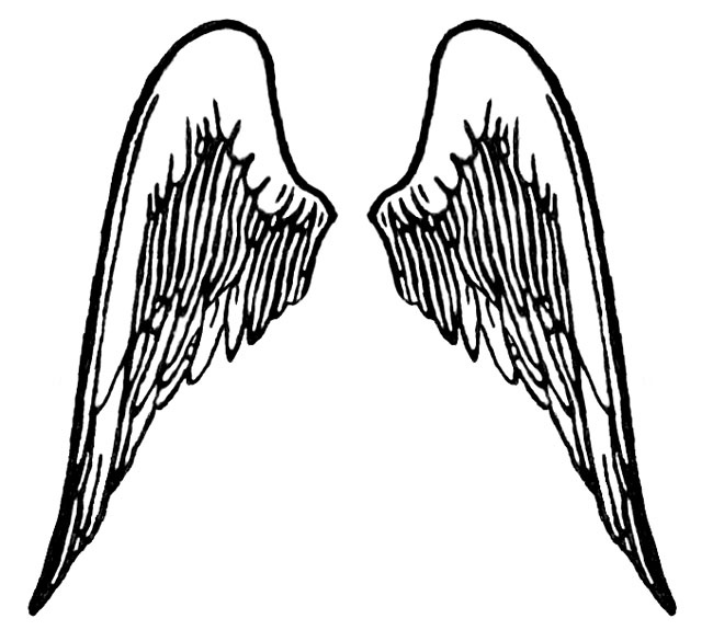 Angel Wings With Halo Drawings | Free Download Clip Art | Free ...