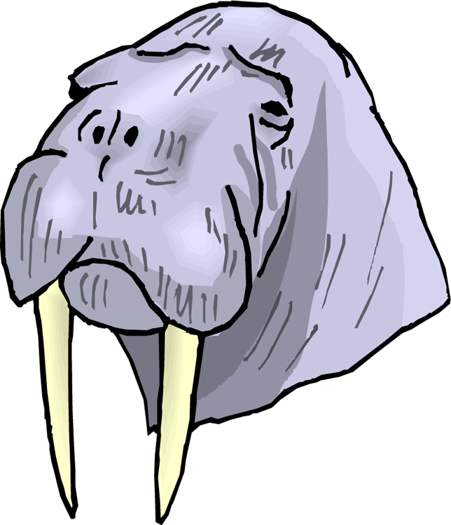 Walrus Clipart Walrus Clip Art