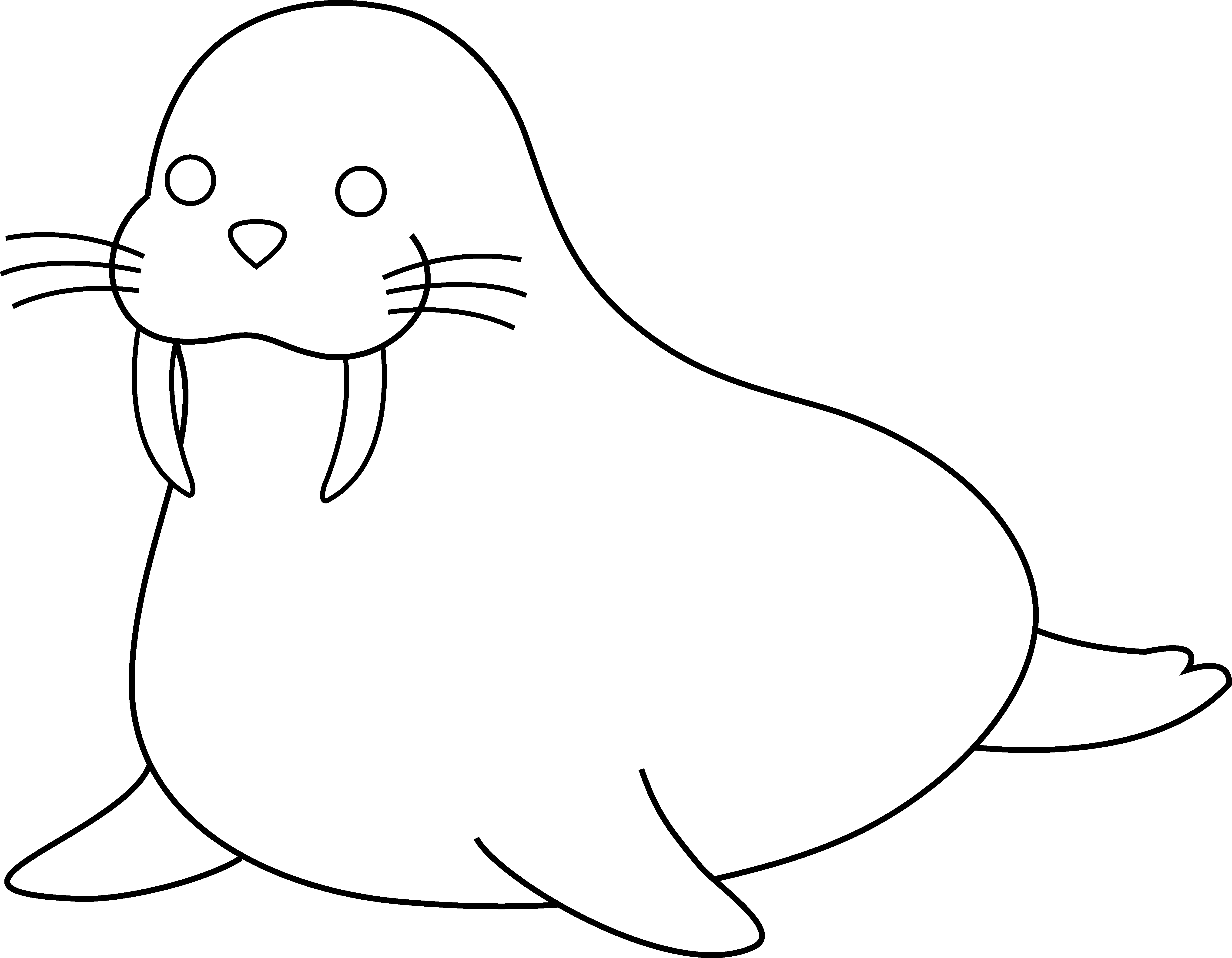 Walrus Clipart Walrus Clip Art