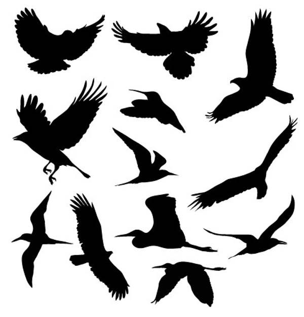 500+ Free Vectors Download