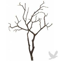 Manzanita Branch Centerpieces
