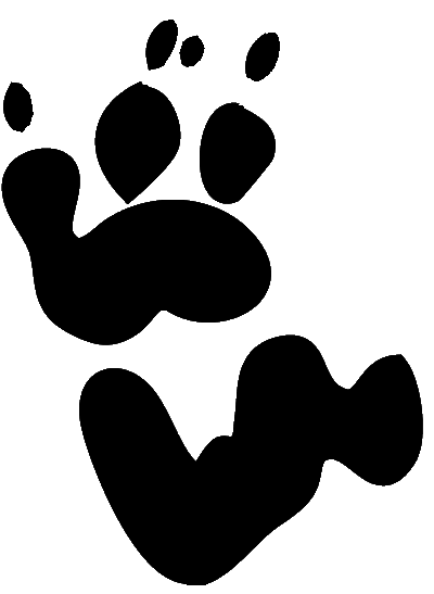 Tiger paw prints