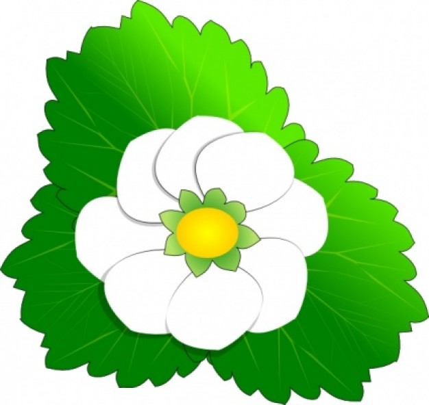Strawberry Flower clip art | Download free Vector