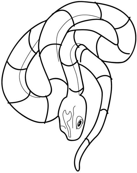 Free printable snake 07 : Fullcoloringpages.
