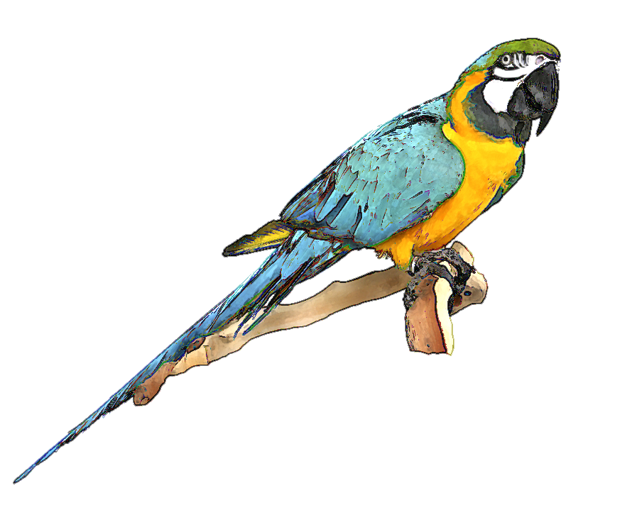 Free Bird Clip Art