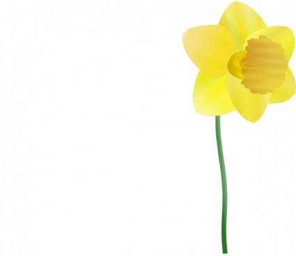 Download Daffodil clip art Vector Free