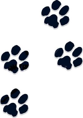 Dog Paw Prints Express Projects - Free Download Tattoo #7313 Dog ...