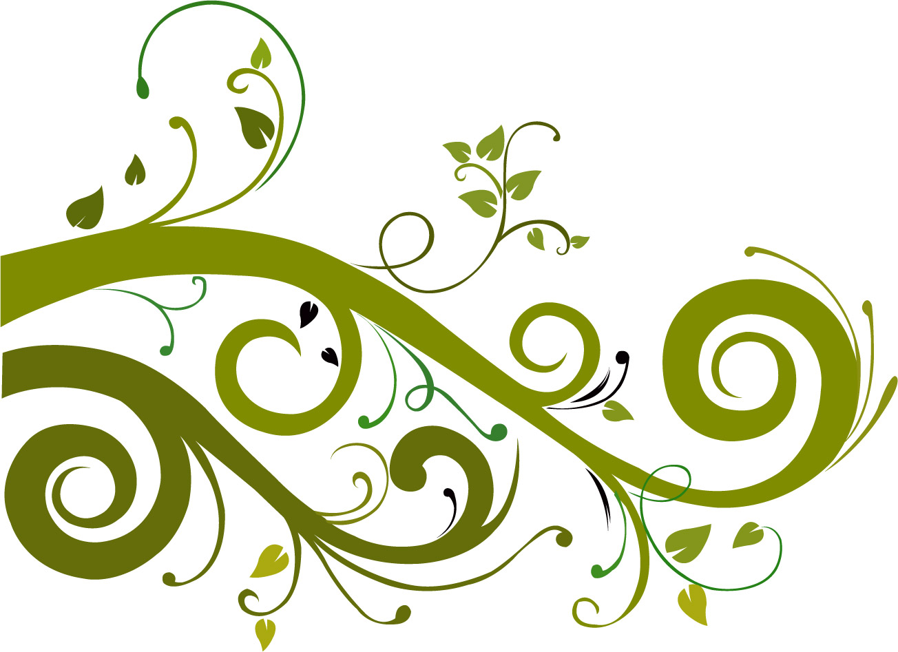 Floral Vector Images