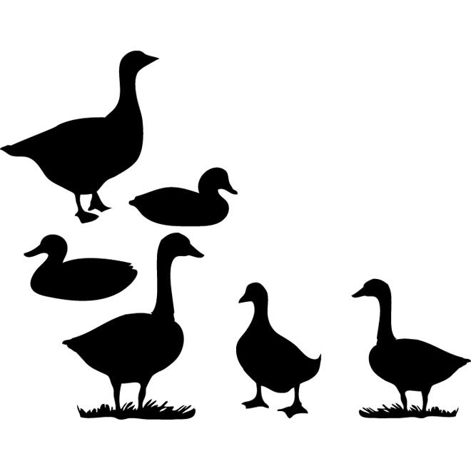 Profile | Free vector Graphics | Download Free Vector illustration ...