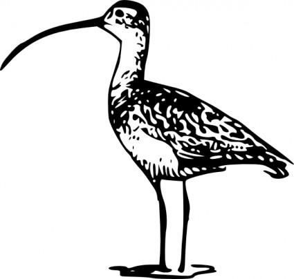 Bird outline clip art Free vector for free download (about 112 files).