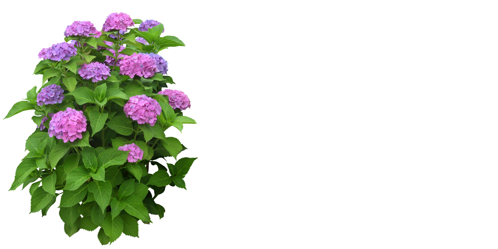 Free High Resolution graphics and clip art: high resolution png