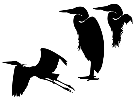 Heron Clip Art, Vector Heron - 5 Graphics - Clipart.me