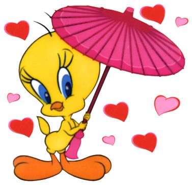 1000+ images about my tweety bird
