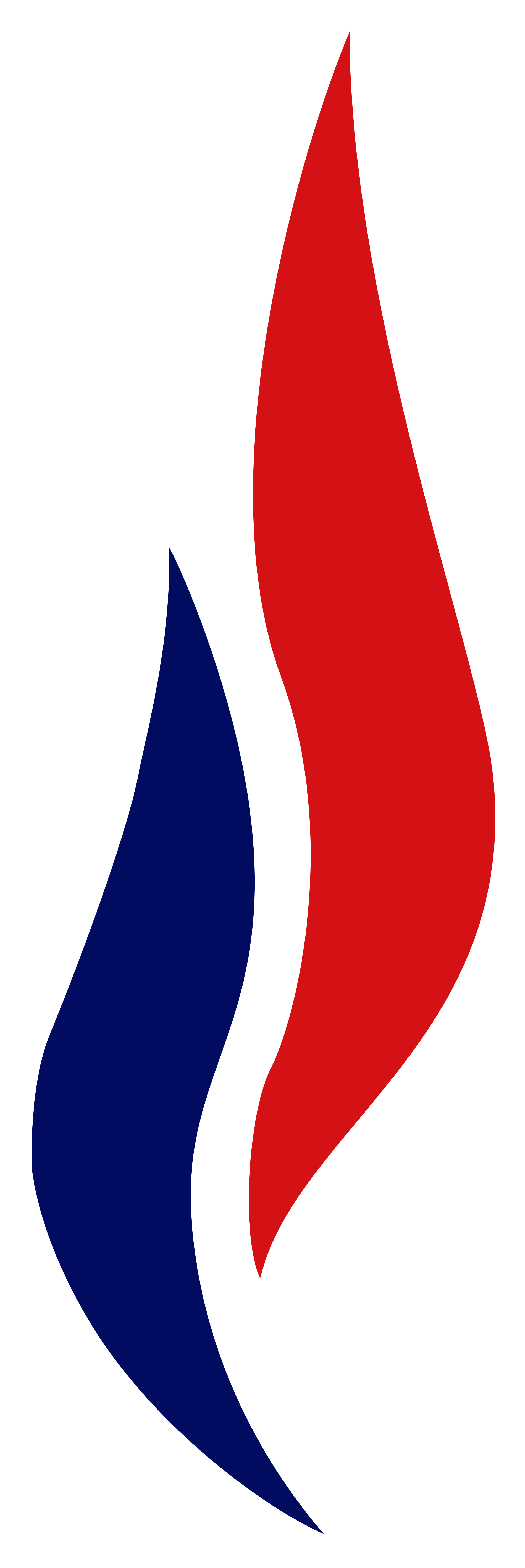 File:Logo Front National.svg