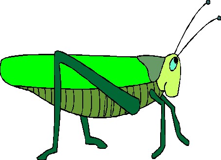 â?· Grasshoppers: Animated Images, Gifs, Pictures & Animations ...