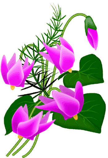 Index of /cliparts_transpa/fleurs/