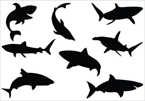 Shark Silhouette Tattoo