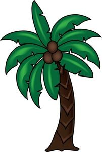 1000+ images about Palmetto Palms for Toni
