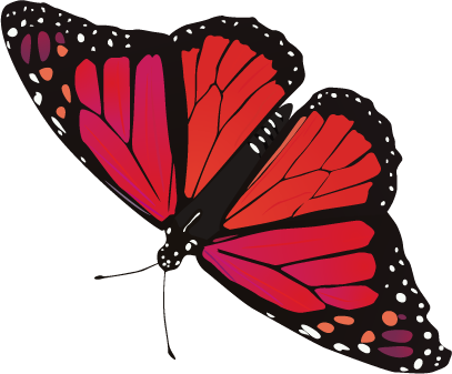 Butterfly PNG image, free picture download