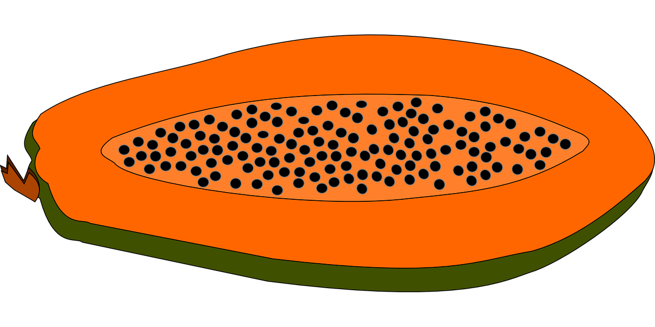 Free to Use & Public Domain Papaya Clip Art