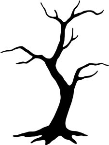 1000+ images about Bare trees
