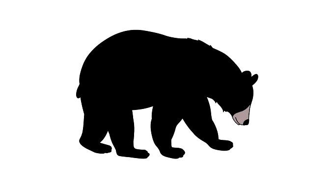How to draw a black bear | Ask in mask