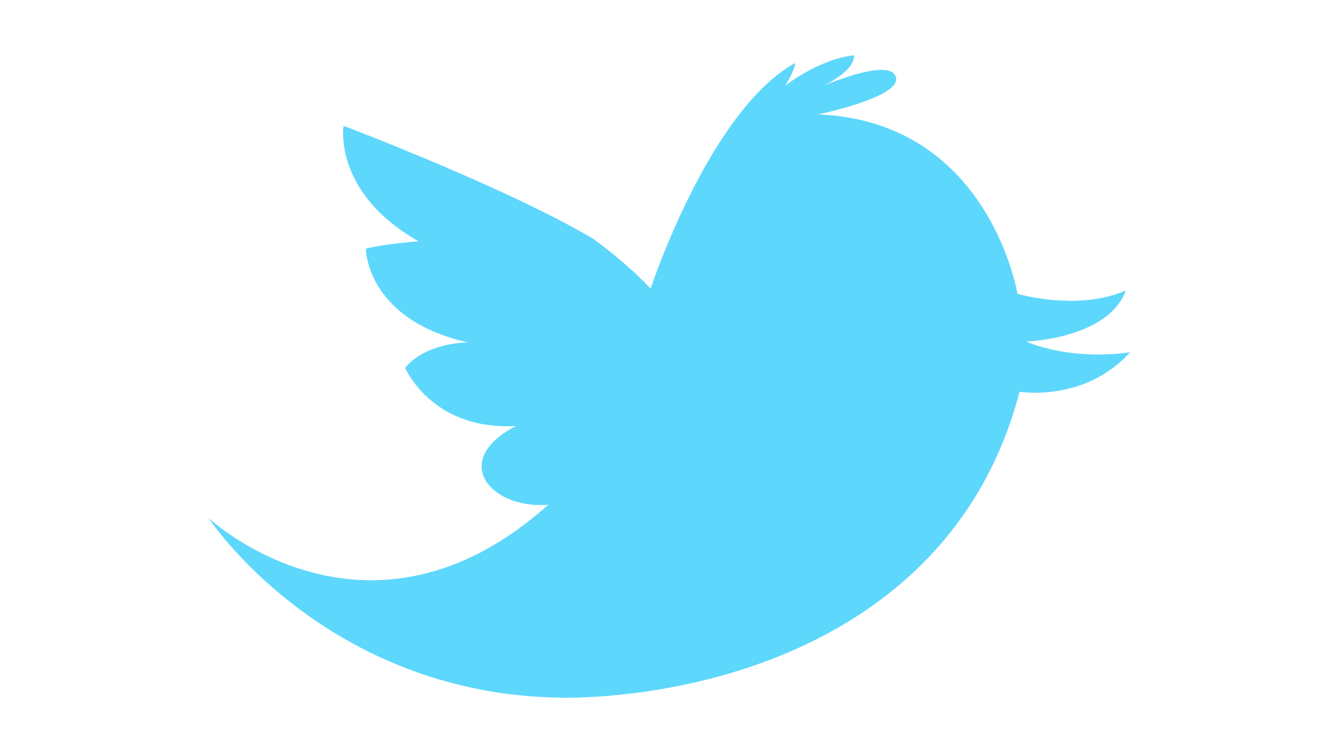Twitter bird