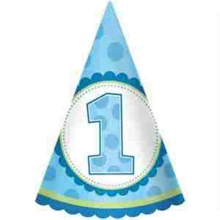 Birthday Pictures Collections: First Birthday Hat