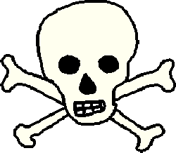Pirates Skull and Crossbones Factsheet,Info on Pirate Skulls Jolly ...