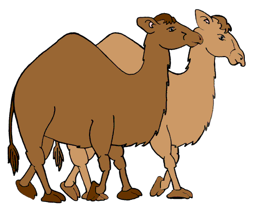 Camel Clip Art - ClipArt Best