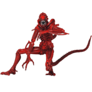 Red Xenomorph | Xenopedia | Fandom powered by Wikia