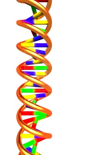 Helix Dna - ClipArt Best