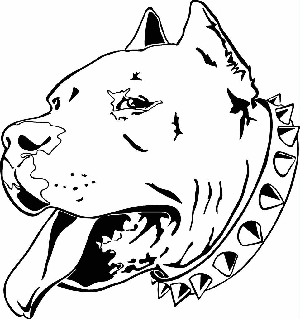 Running Pitbull Coloring Page - Animal - Ready To Print Pitbull ...