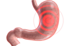 Human Body System on emaze