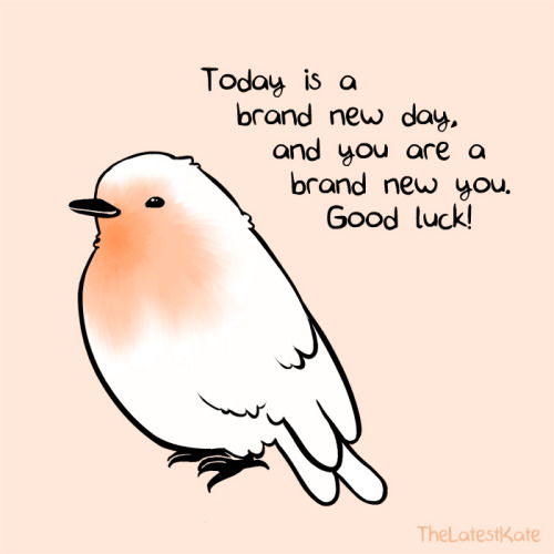 drawing cute pink hope robin spring positive positivity artists on ...