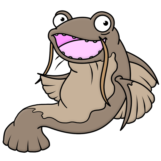 Catfish Clipart